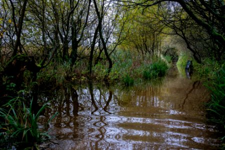 Leighton Flooded - (2 of 7) photo