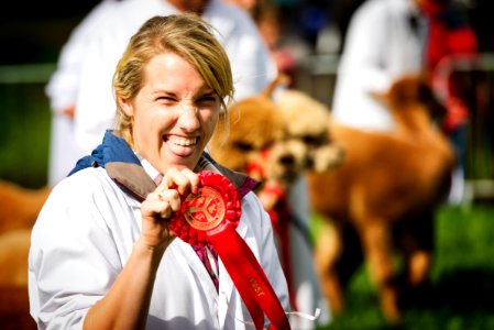 "First Place" | Scenes from Westmorland County Show - No. 3