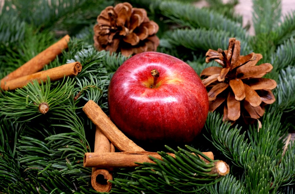 Red christmas decoration