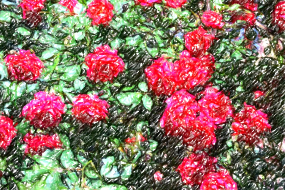 flowers (58)-crayon