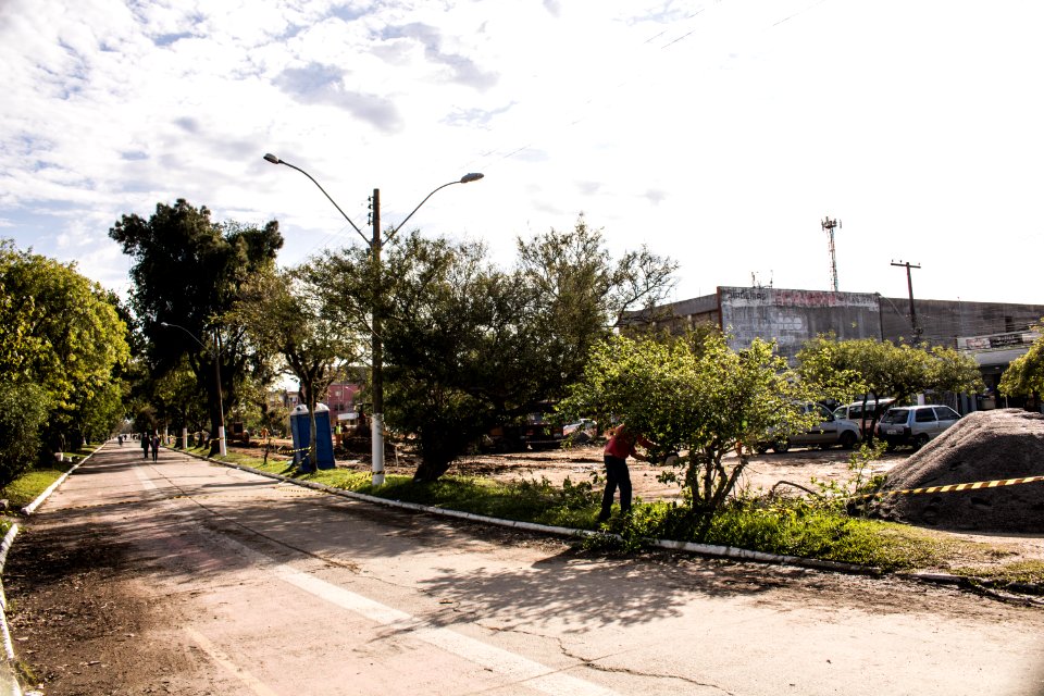 15.06.2020 - Início das podas para requalificação dos canteiros da avenida Duque de Caxias - Foto Michel Corvello