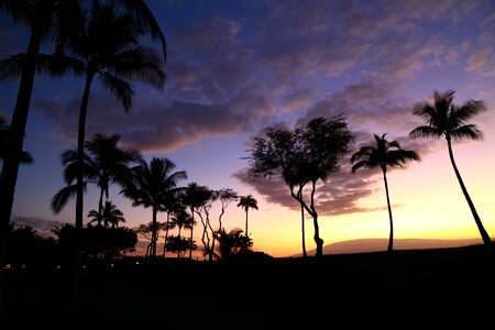 Sunset silhouettes hawaii photo