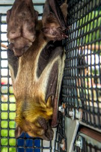 20170623-AMS-PJK-0024