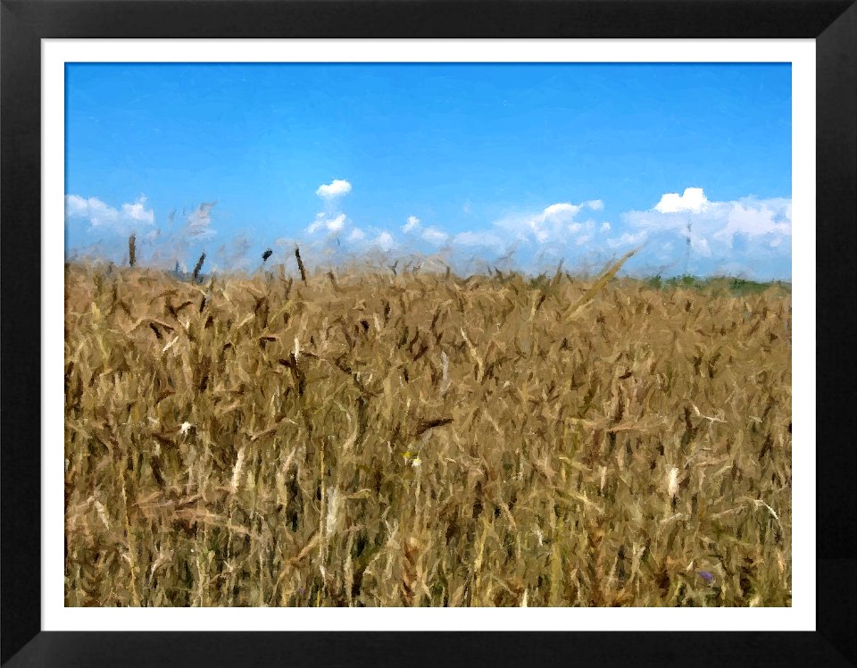 FotoSketcher - IMG 2363