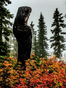 Callaghan Valley photo