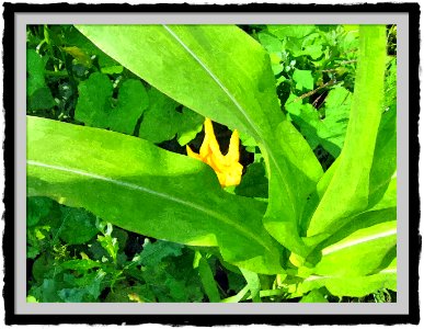 FotoSketcher - IMG 2302