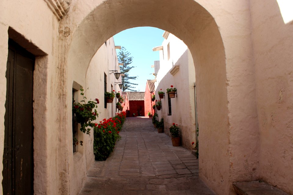 puertas y ventanas