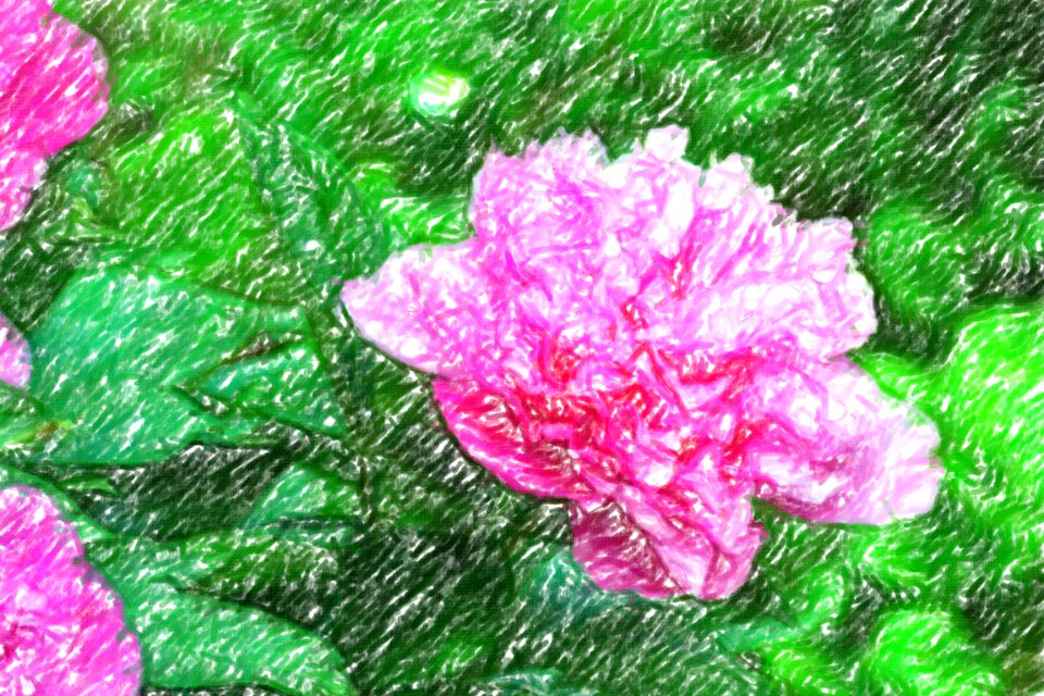 flowers (56)-crayon