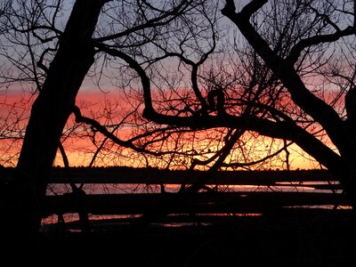 Night dusk orange sky