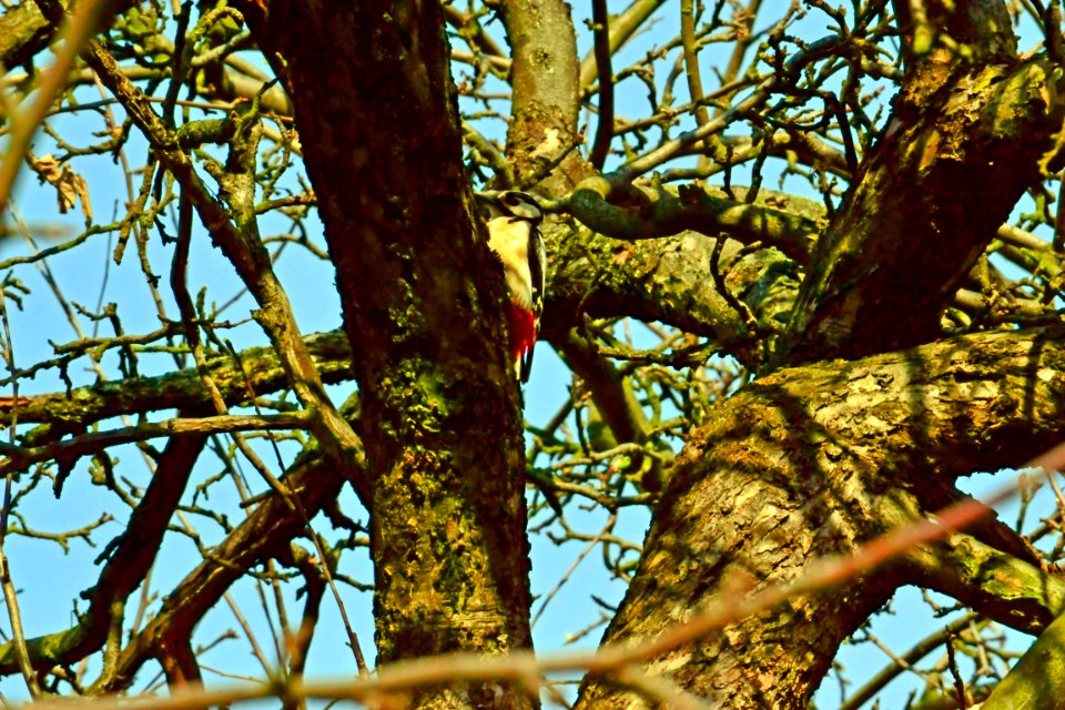 Spring 2014