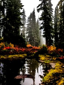 Callaghan Valley photo