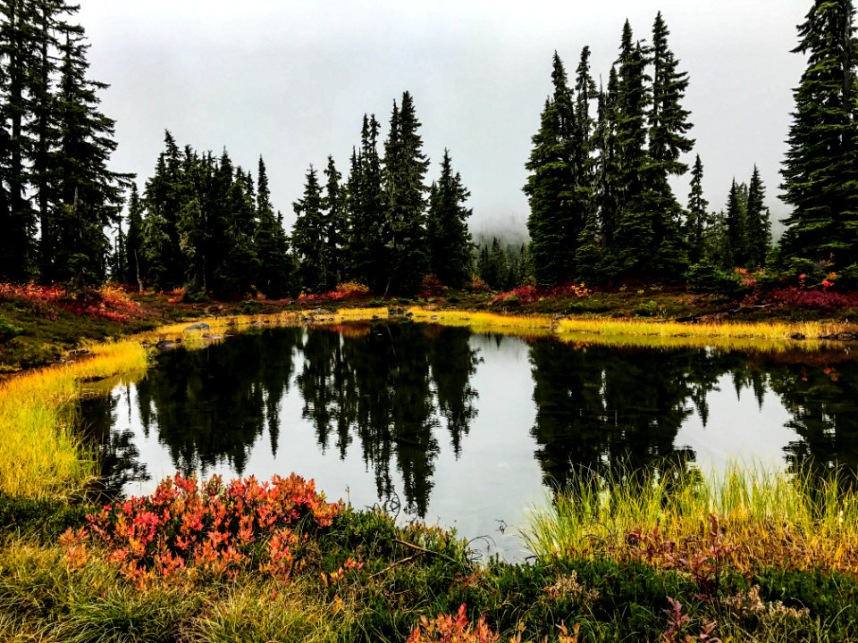 Callaghan Valley