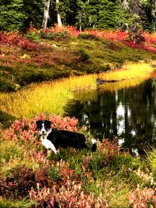 Callaghan Valley photo