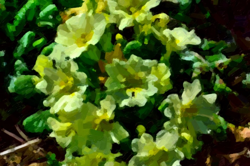 digital paintings