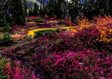 Callaghan Valley photo