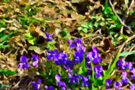 digital paintings