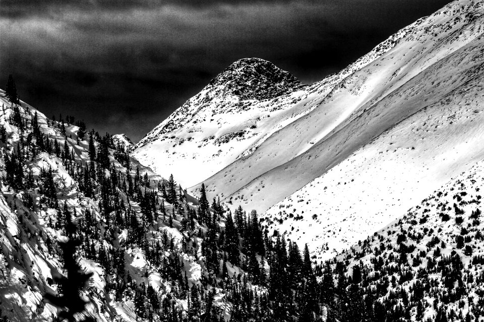 Callaghan Valley - Black and White