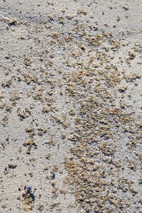 texture of cement