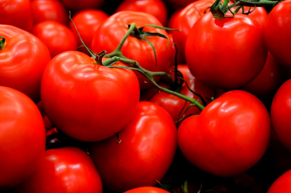 Tomatoes