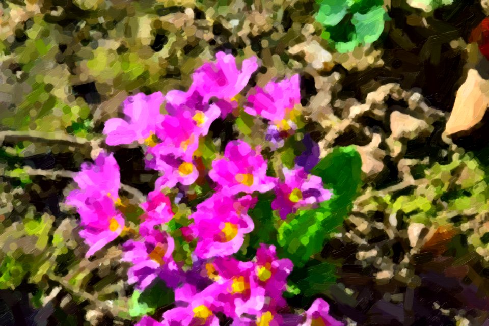 digital paintings