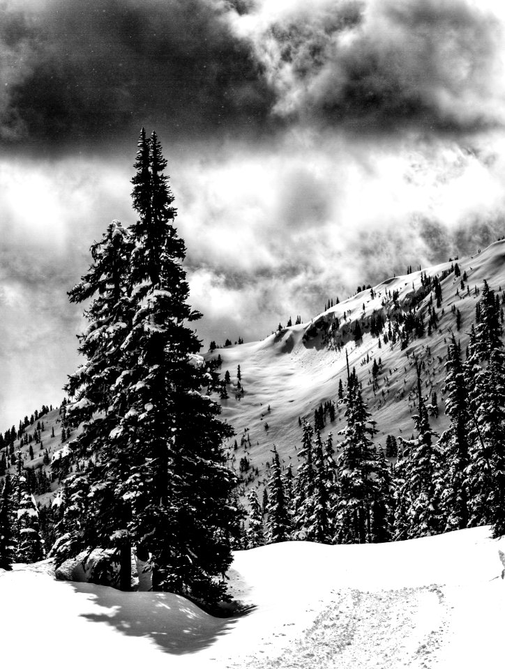 Callaghan Valley - Black and White