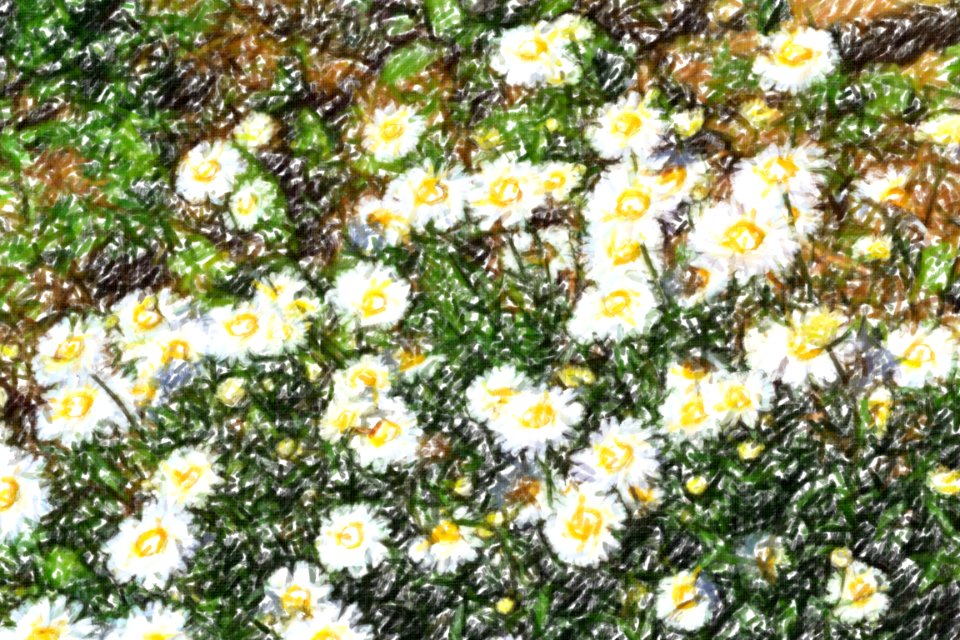 flowers (73)-crayon