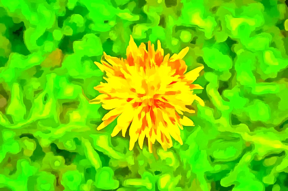 PopArt