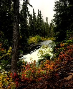 Callaghan Valley photo