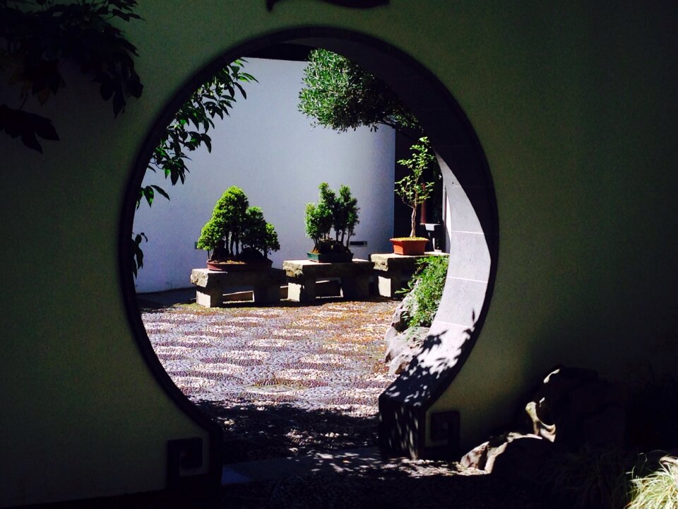 Door open open door