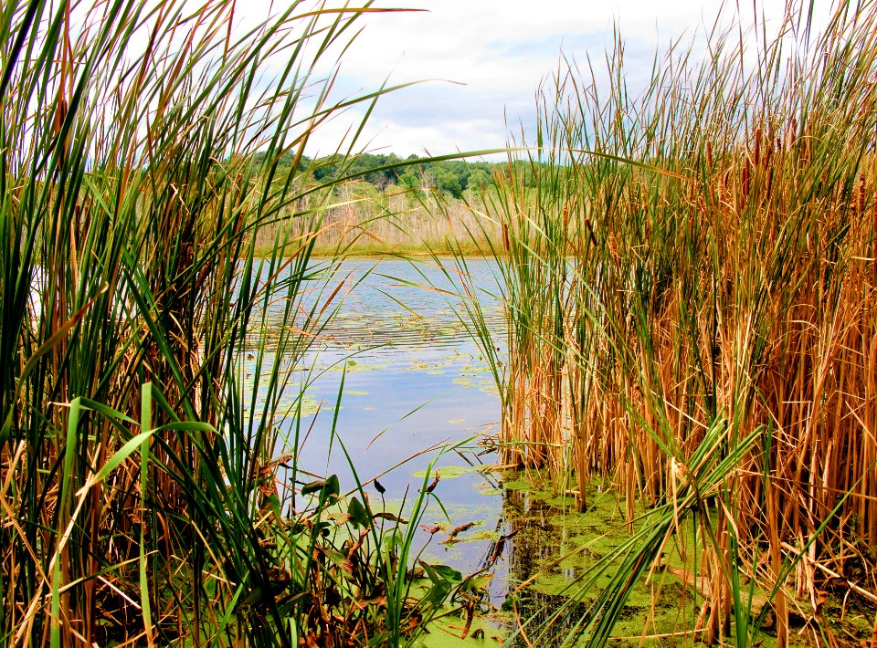 09Septbaldmountain 2549