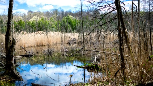 20190422-216-Pano photo