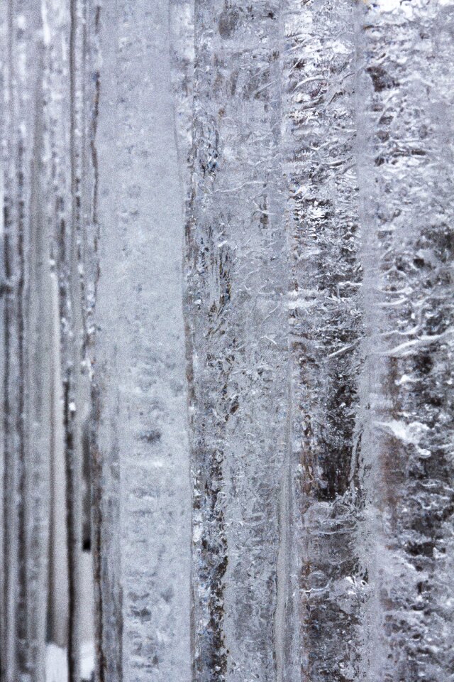 Winter white frost