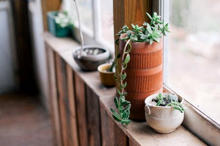 Pots window decor photo