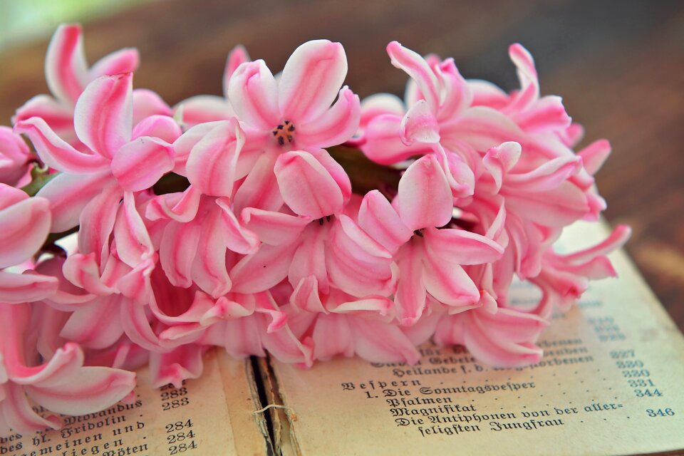 Flower fragrant flower book