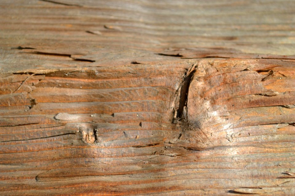 wood