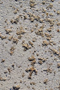 texture of cement