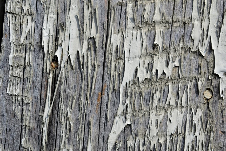 wood