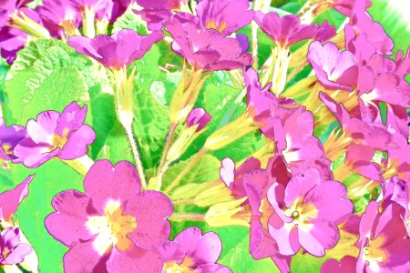 painting 6