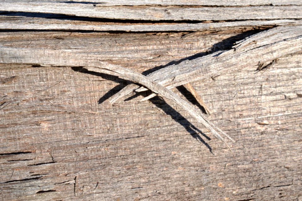 wood