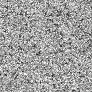 texture 4