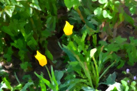 Paintings