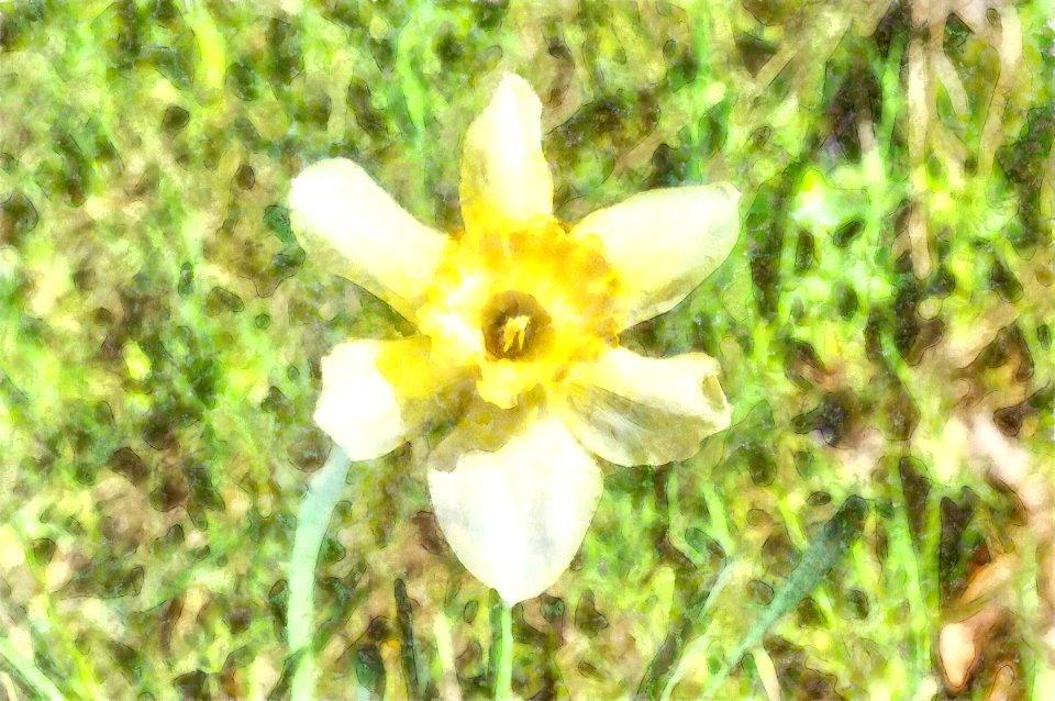 DSC 0041 2 Watercolor
