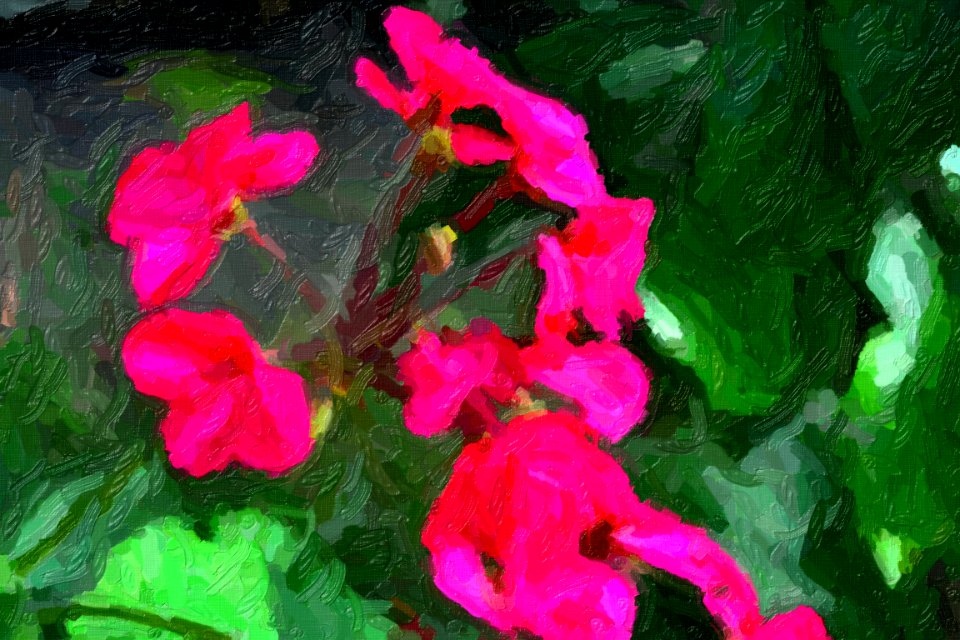 DSC 0001impasto-abstract
