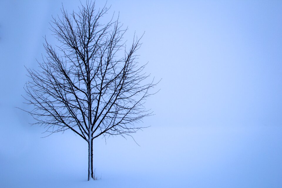 Landscape loneliness white