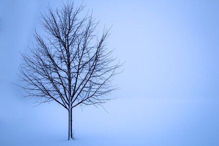 Landscape loneliness white