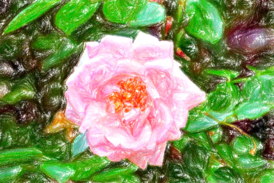 DSC 0074 wax crayon