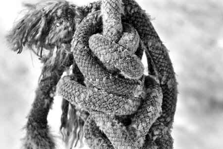 Knot knotted twisted ropes photo