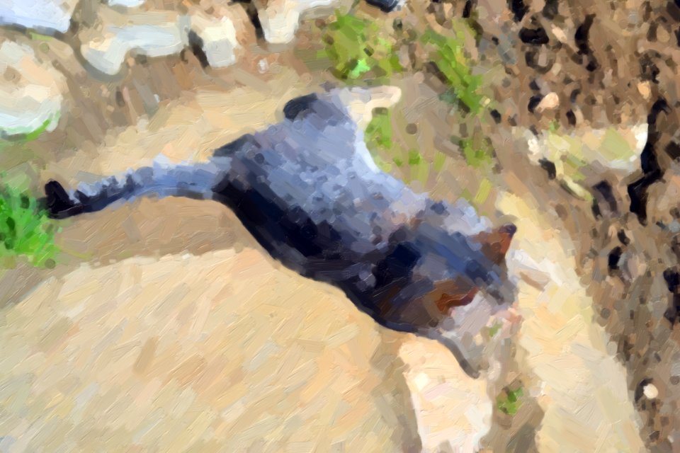 Paintings