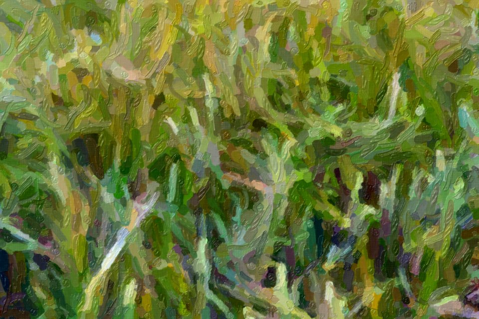 DSC 0040impasto-abstract