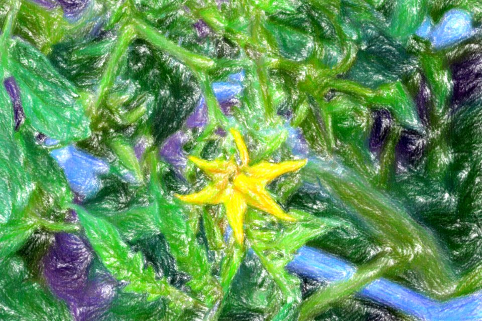 DSC 0118 wax crayon
